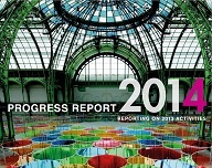 Progress Report 2014