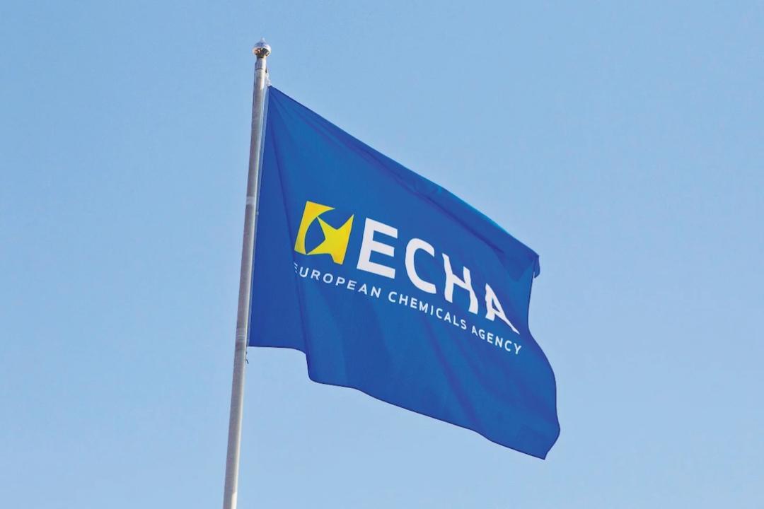 echa_flag_1080x720